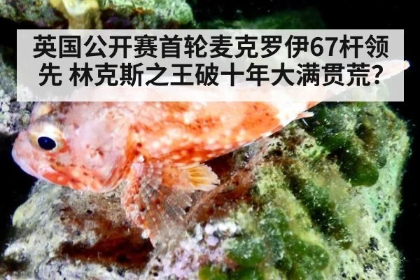 英国公开赛首轮麦克罗伊67杆领先 林克斯之王破十年大满贯荒?
